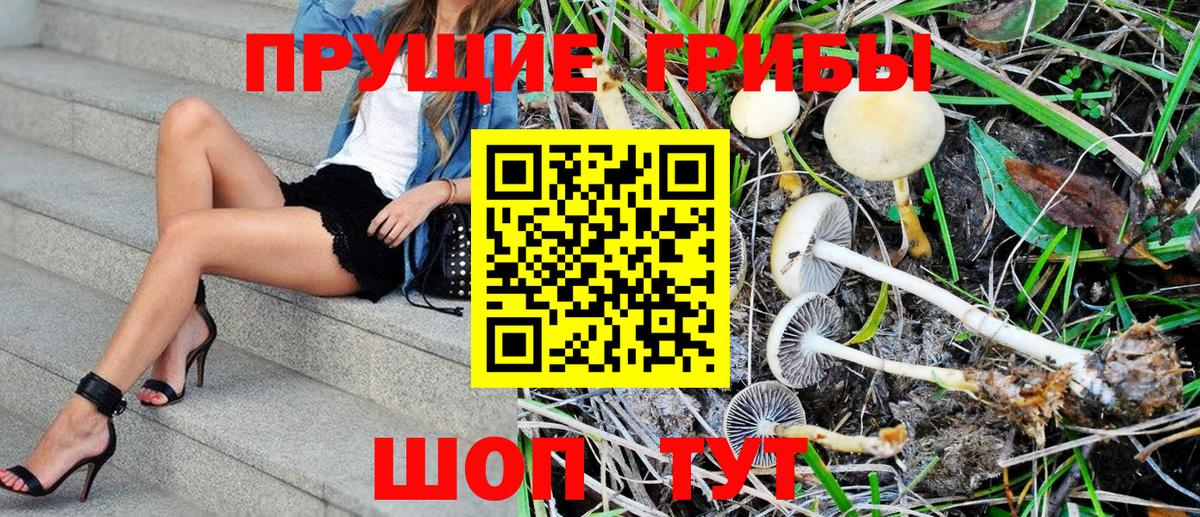 Шахты  Псилоцибиновые грибы Psilocybe  Вход с VPN 